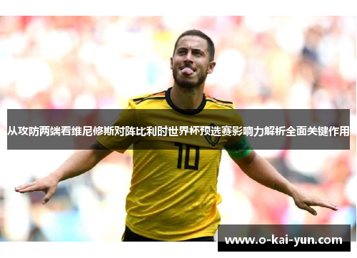 从攻防两端看维尼修斯对阵比利时世界杯预选赛影响力解析全面关键作用