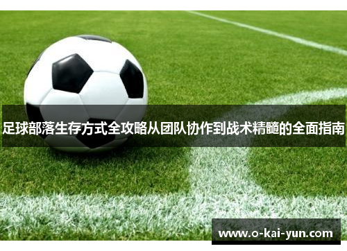 足球部落生存方式全攻略从团队协作到战术精髓的全面指南